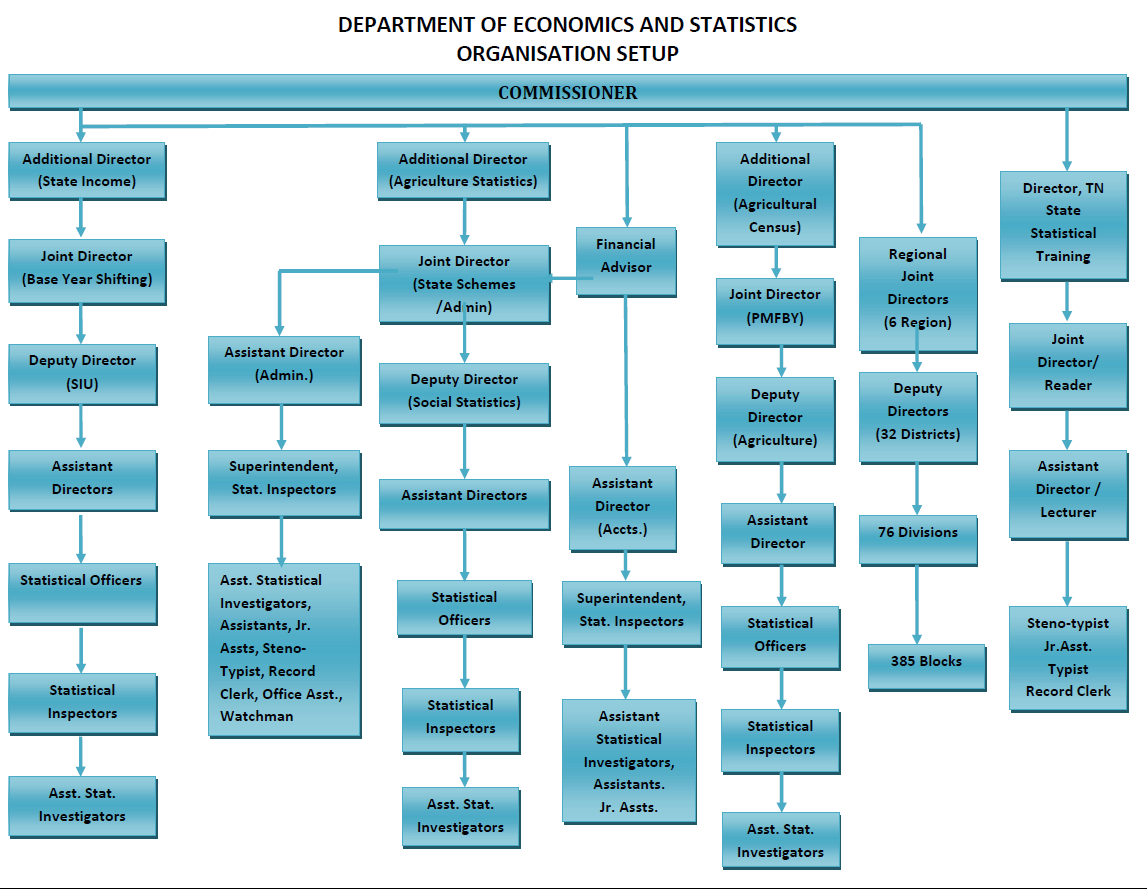 Organisational setup