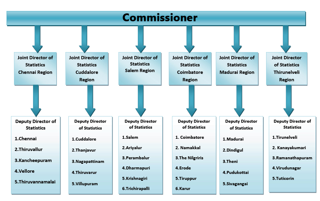 Organisational setup